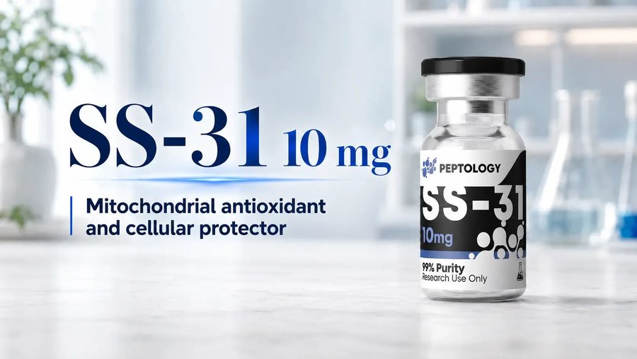SS-31 (Elamipretid): Mitochondrien, Regeneration und Zellenergie